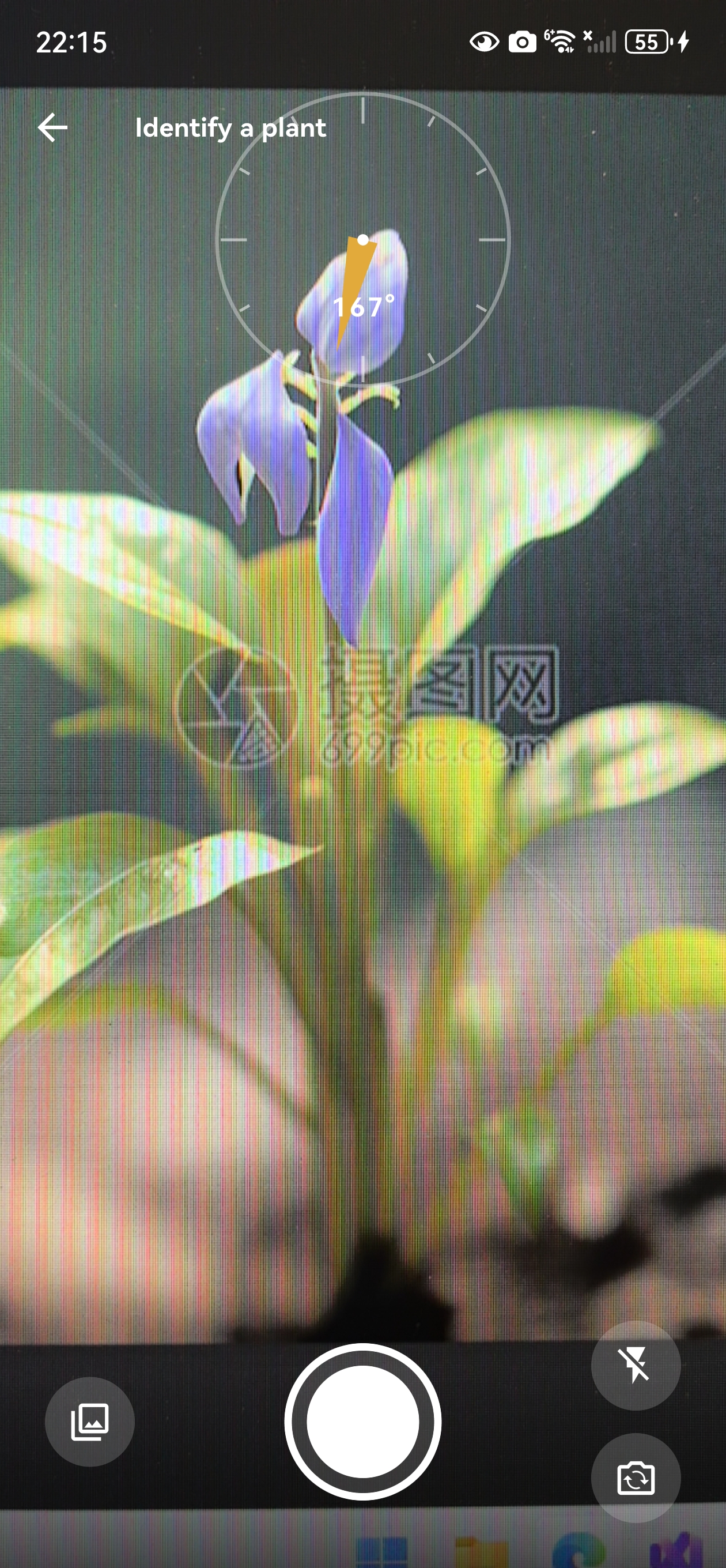 UrbanFlora camera screen