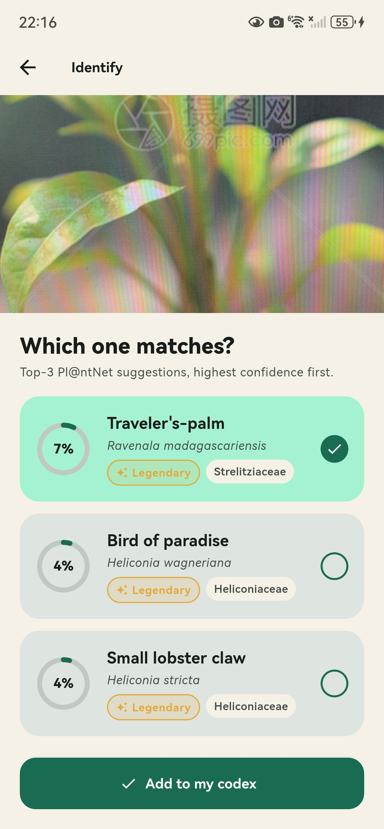 UrbanFlora identify screen